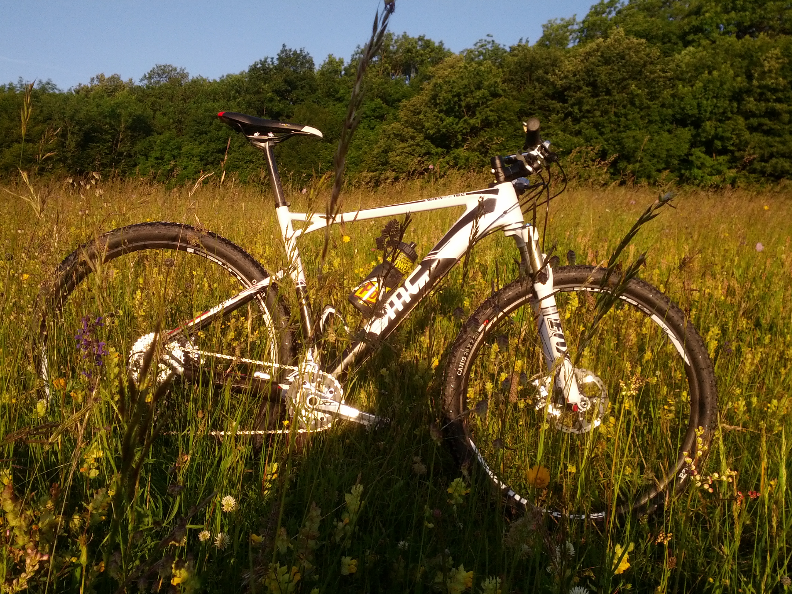 BMX Teamelite in der Morgensonne